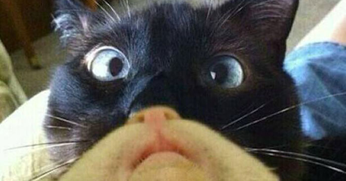 &nbsp;
